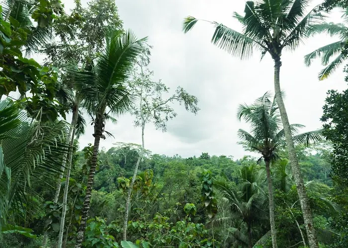 Utopia Concept Bali - Adults Only 4*