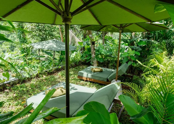 Utopia Concept Bali - Adults Only Hotel Ubud (Bali)